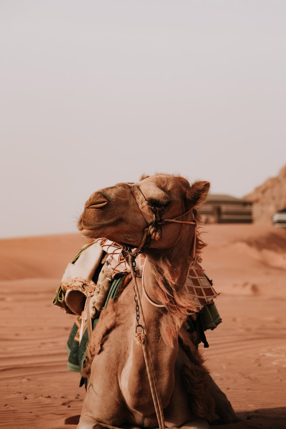 experience at the desert