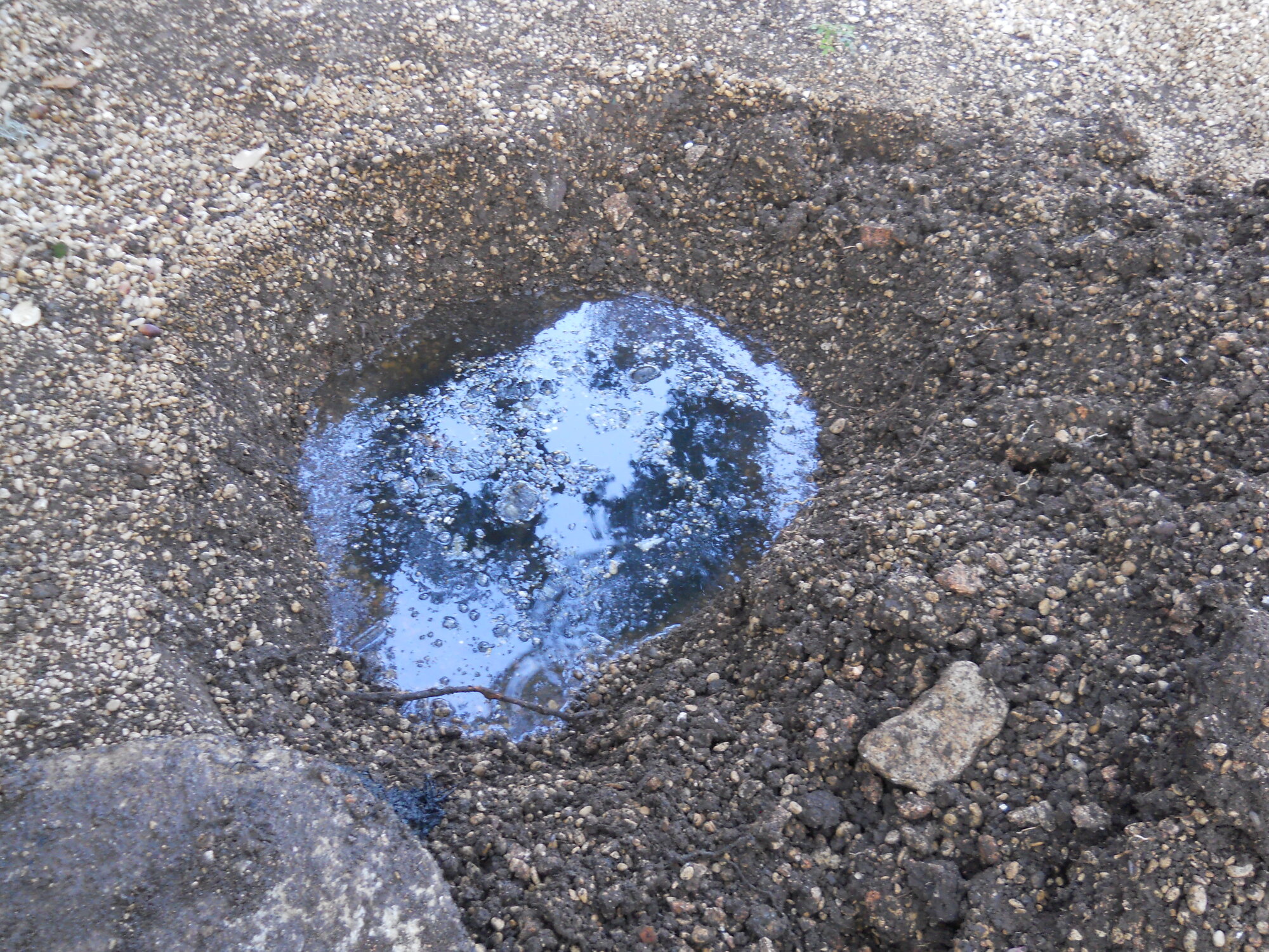 What Causes Septic Tank Overflow in Boerne