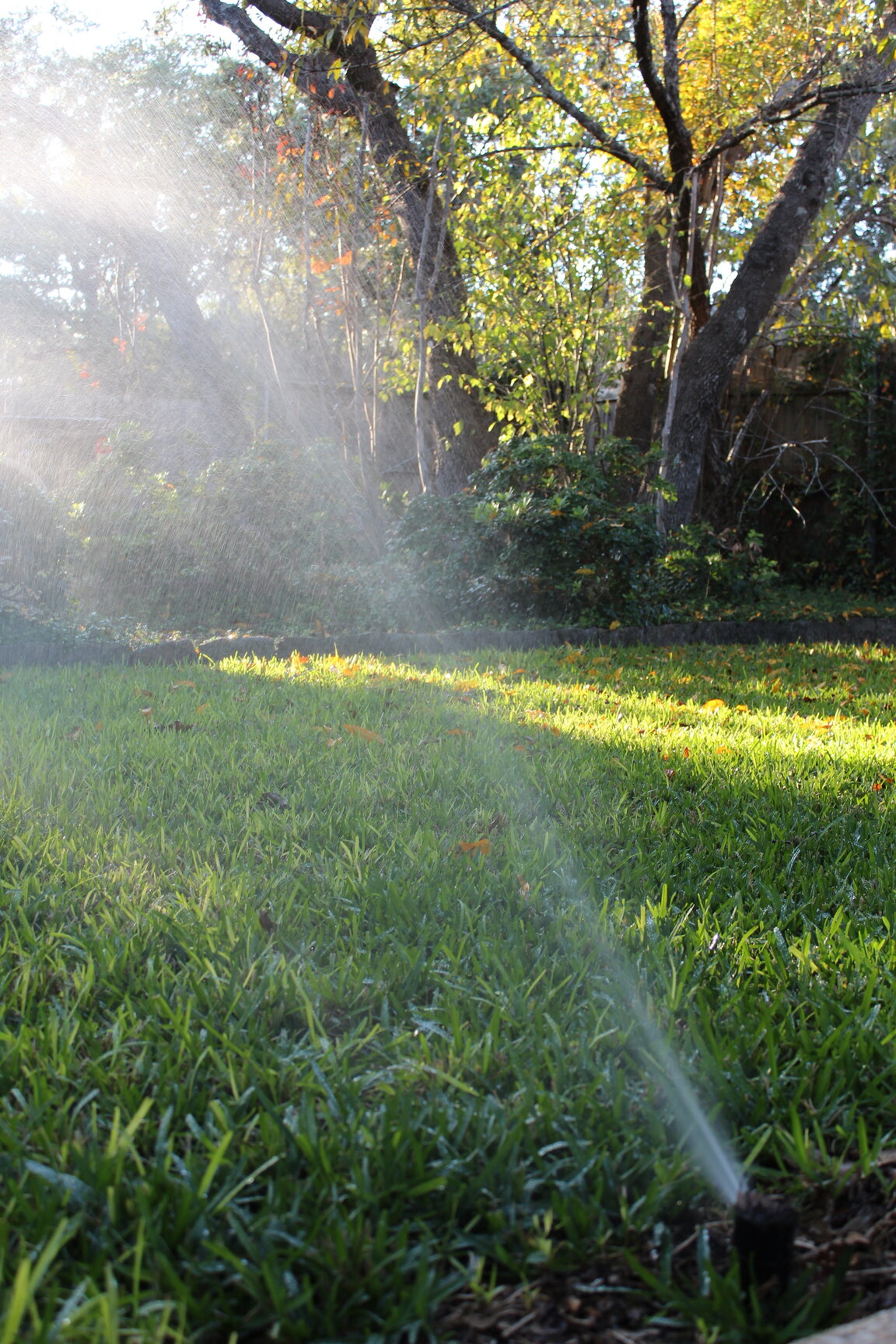 Why Aerobic Spray Heads Get Clogged in Helotes