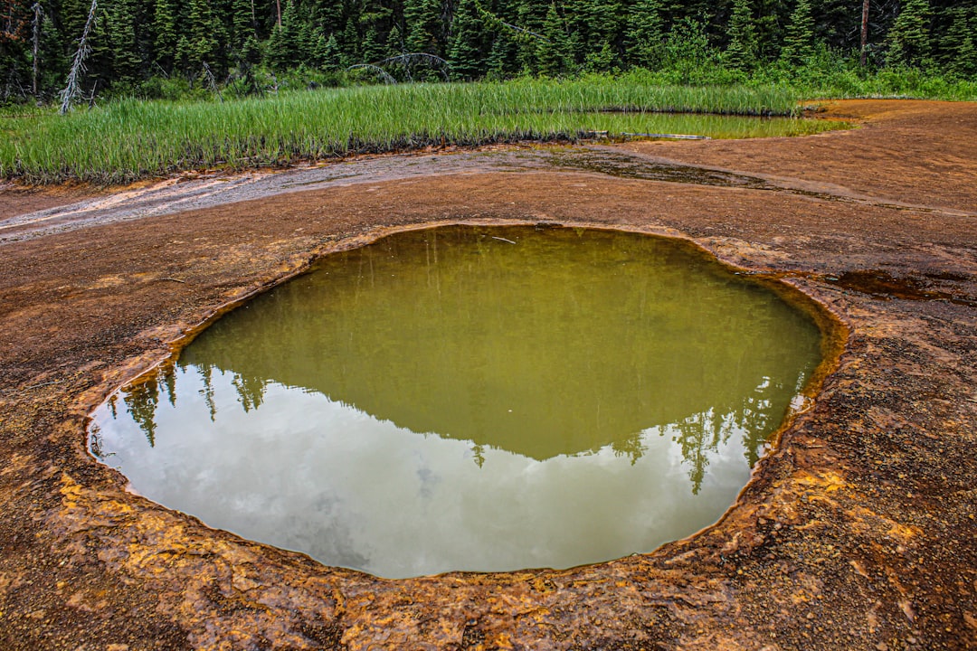 Septic Field Problems: 3 Crucial Solutions