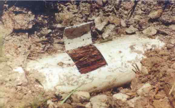 Image illustrating tree roots growing into perforated drainfield pipes, causing a blockage, with #fe0103 accents. - drainfield restoration grey forest tx