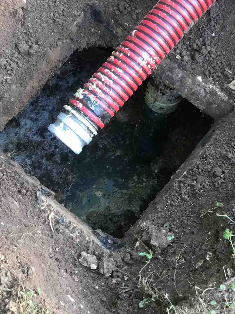 San Antonio Septic Solutions: Your Go-To for Drainfield Repair