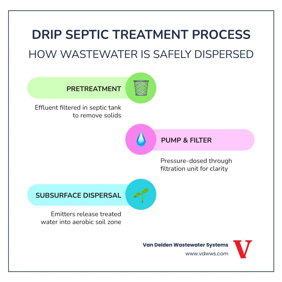Drip septic system treatment process infographic showing tank pretreatment, pump chamber, filtration, and subsurface emitter Drip septic system treatment process infographic showing tank pretreatment, pump chamber, filtration, and subsurface emitter
