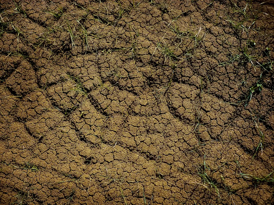 soil percolation testing soil percolation testing