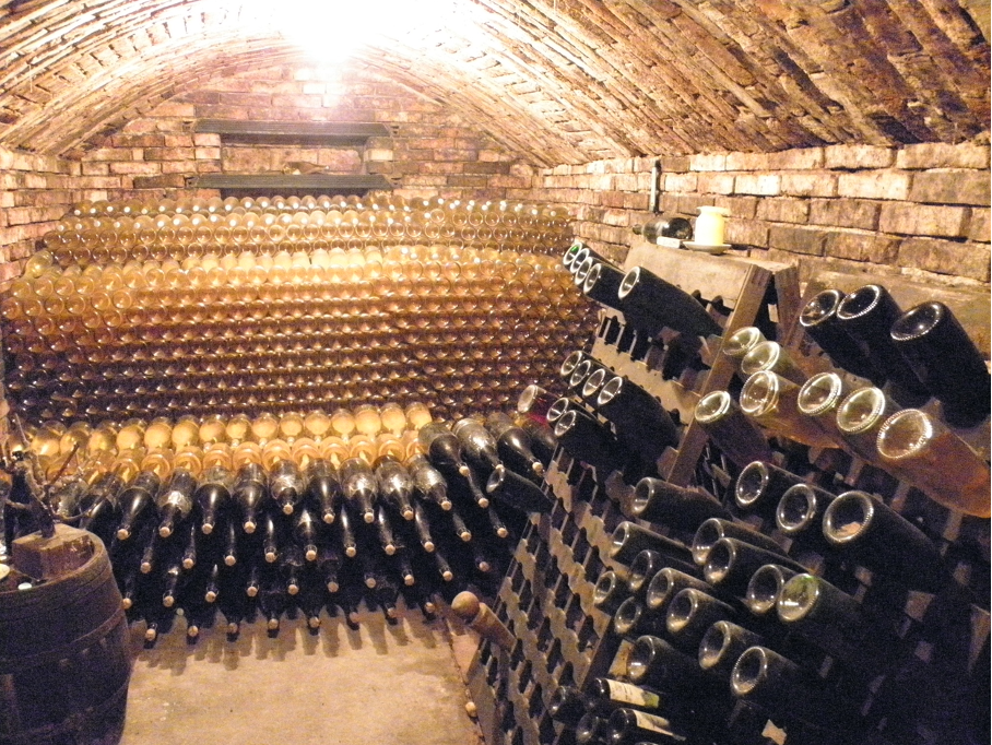 Degustace Sekt Jan Petrák