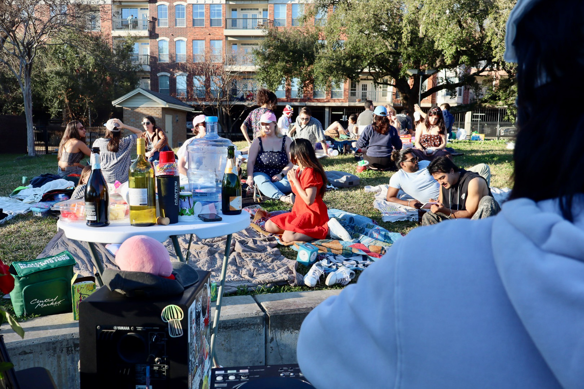 People enjoying a sunny picnic on blankets with drinks and snacks in a park, with apartment buildings in the background.