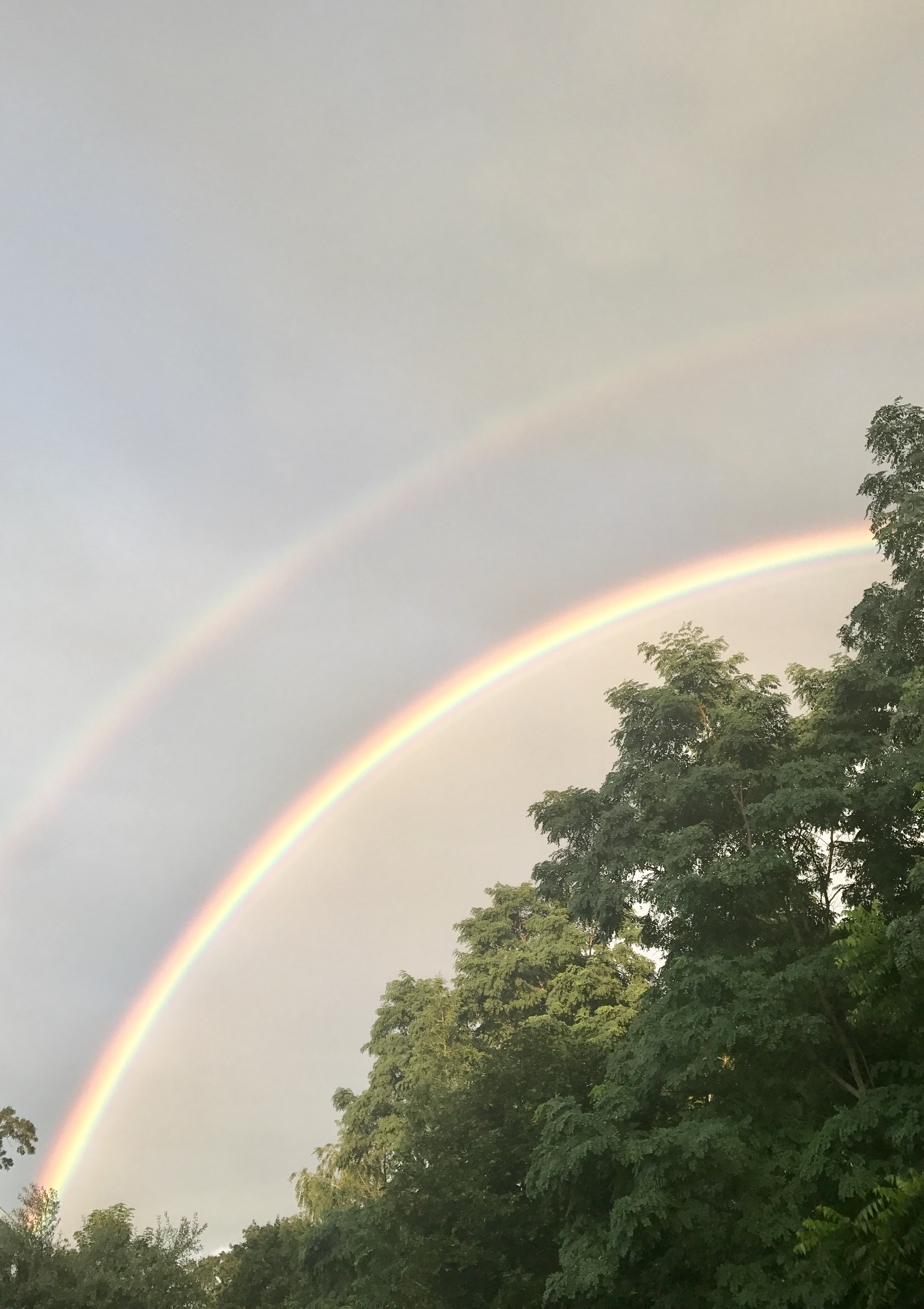 Double rainbow arcing over green trees under a cloudy sky.