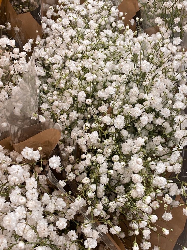 Bouquets of small white baby’s breath flowers wrapped in brown paper and clear plastic.