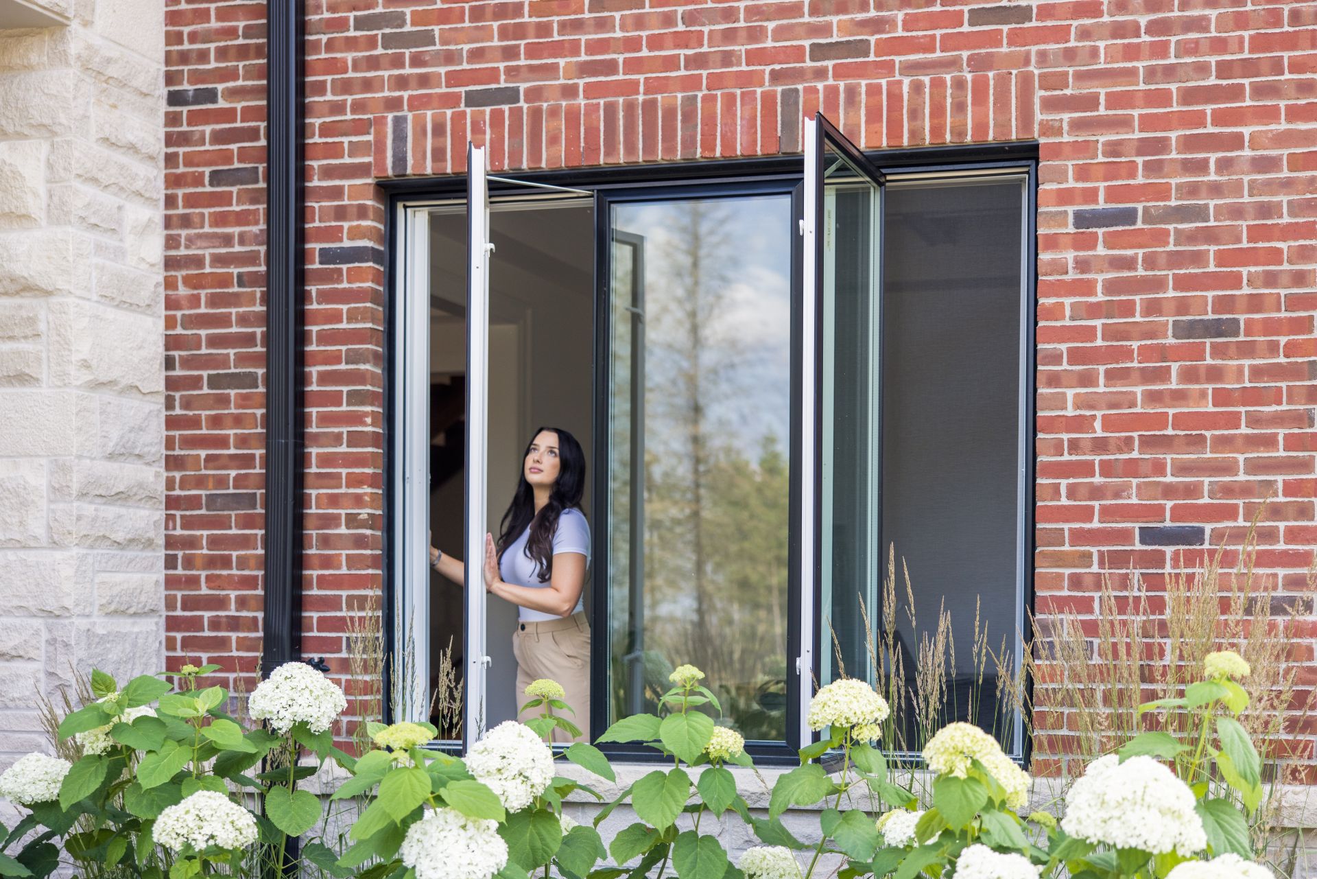 energy efficient windows