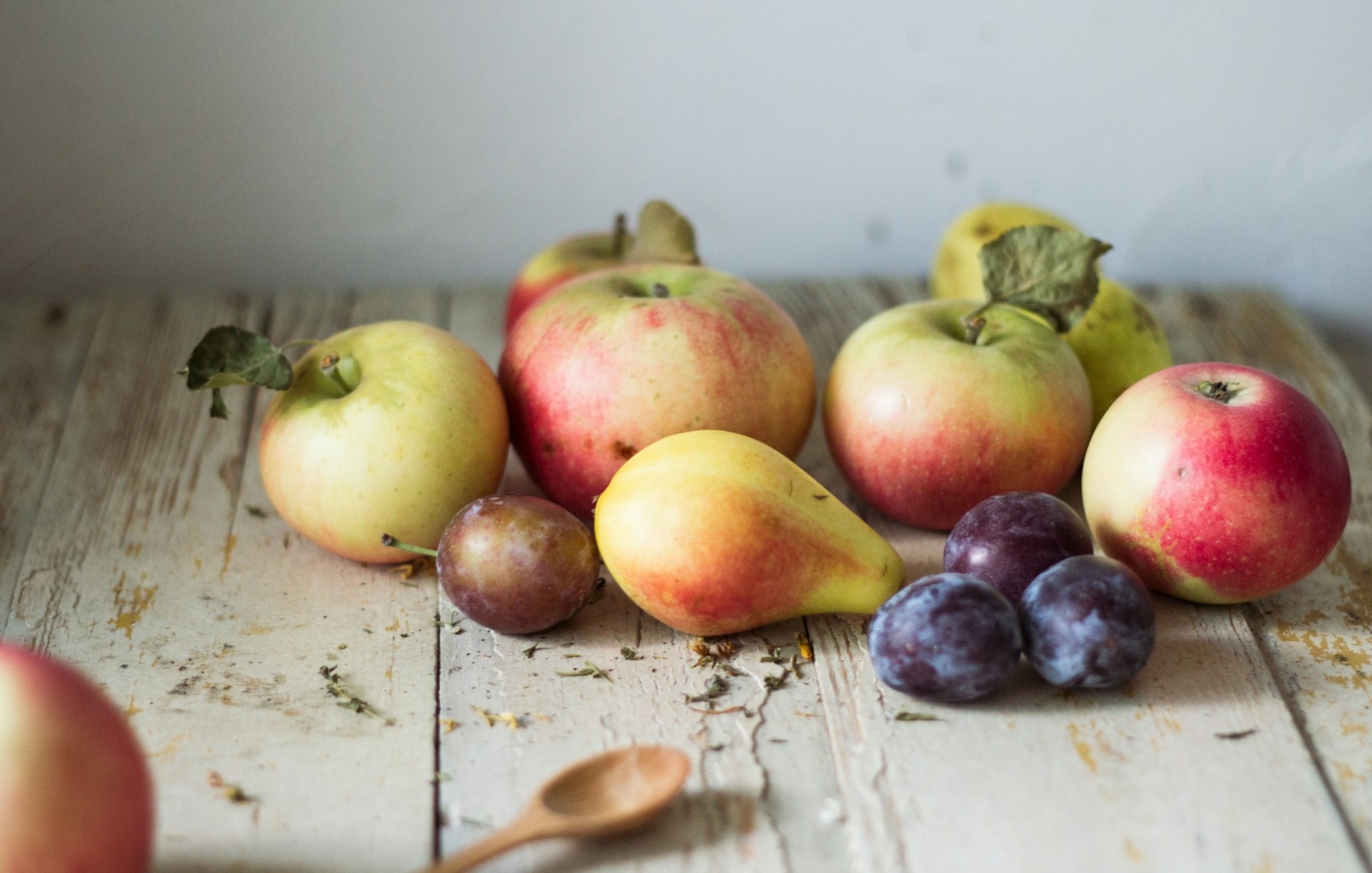 where do fruit flies come from