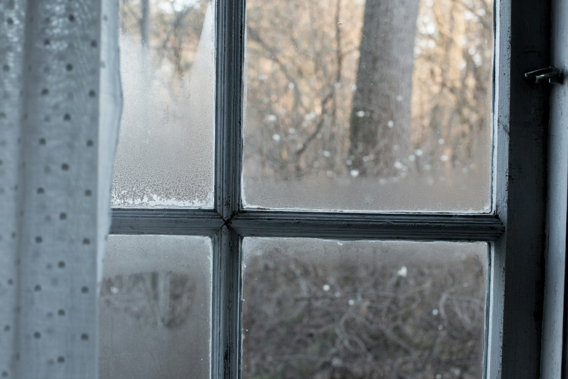 condensation between panes
