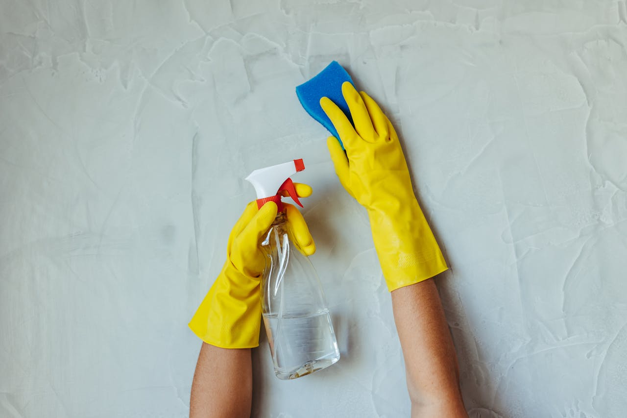 does bleach kill mold