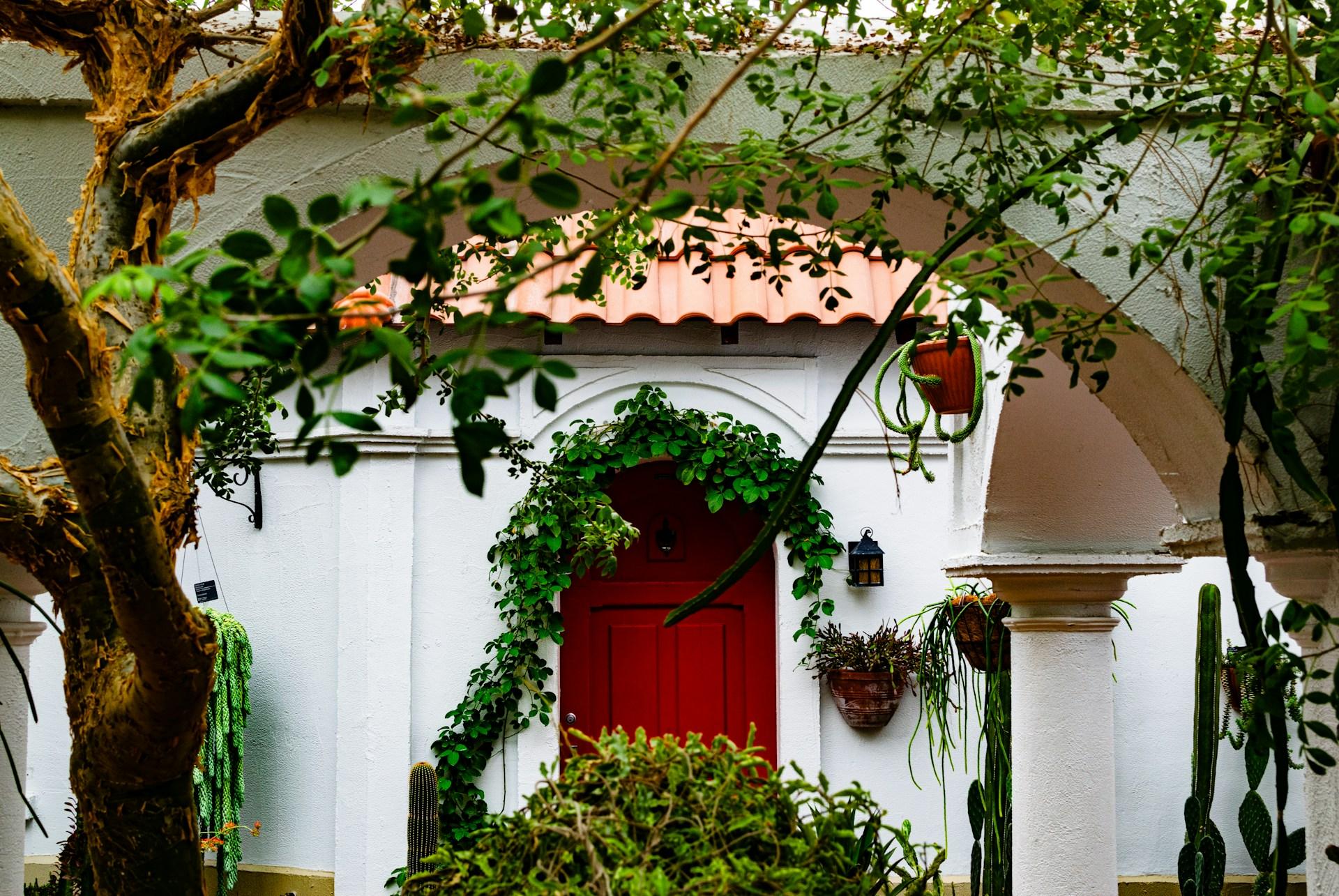 burgundy front door
