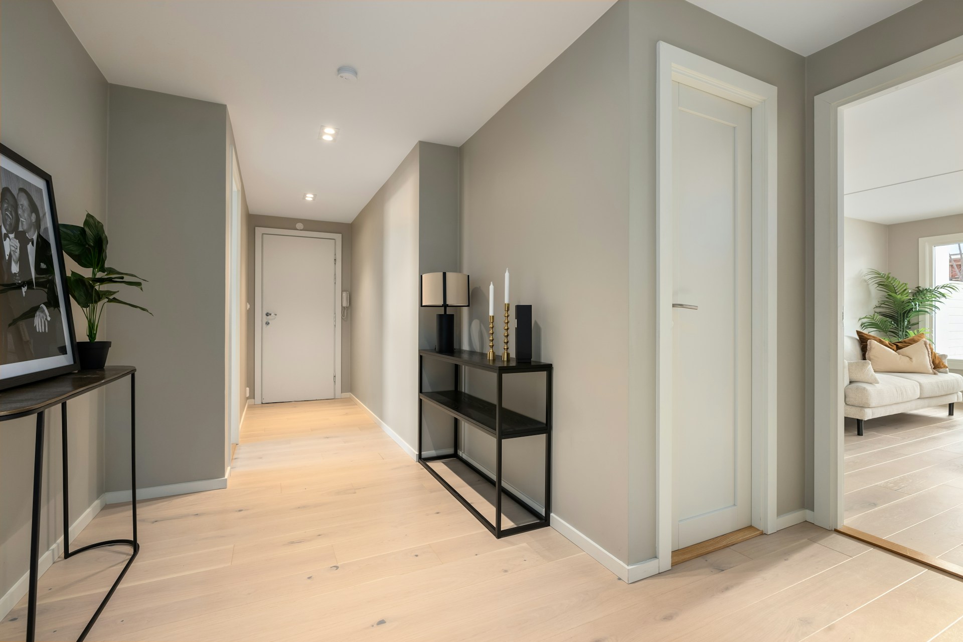 solid core vs hollow core doors