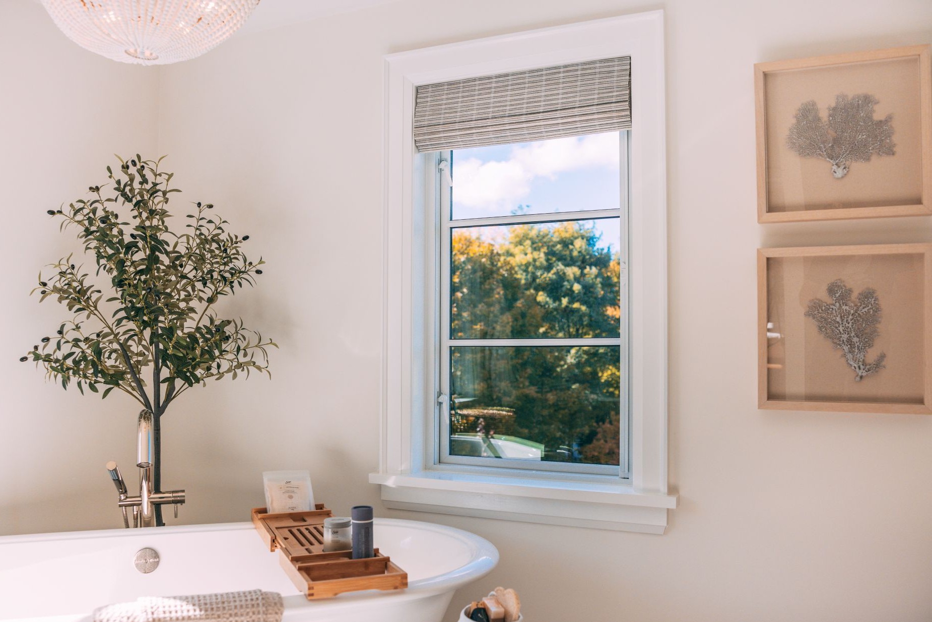 insulated glass unit