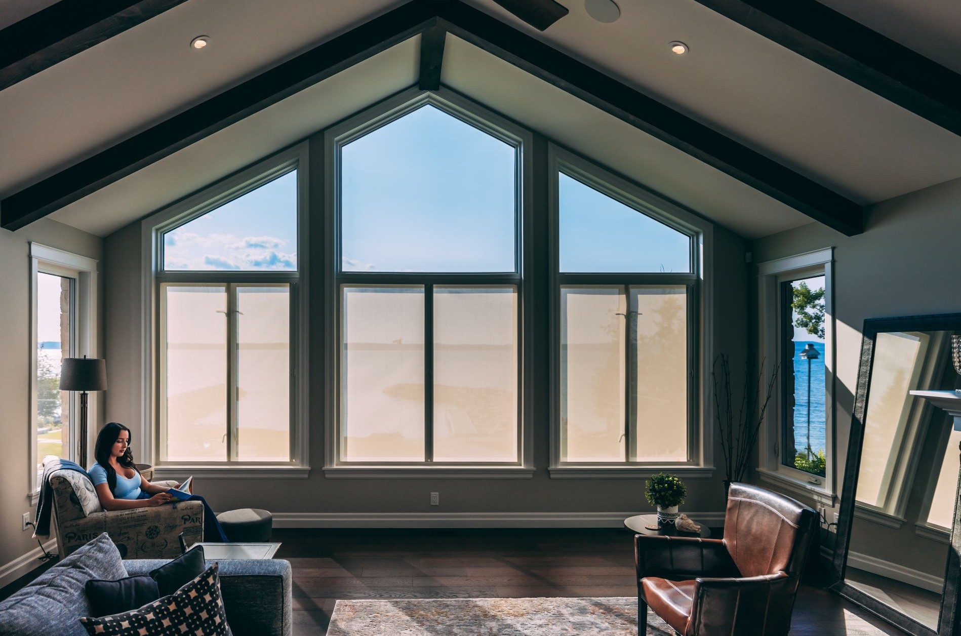 living room window shades