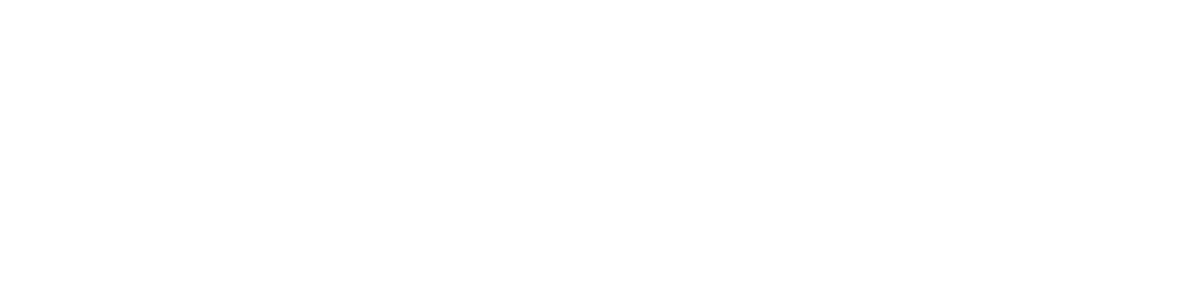 cyberhaven logo white