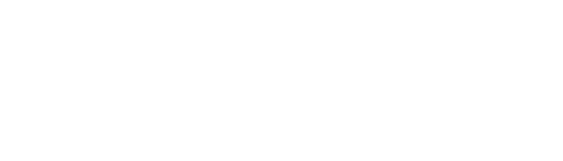 cyberhaven logo white