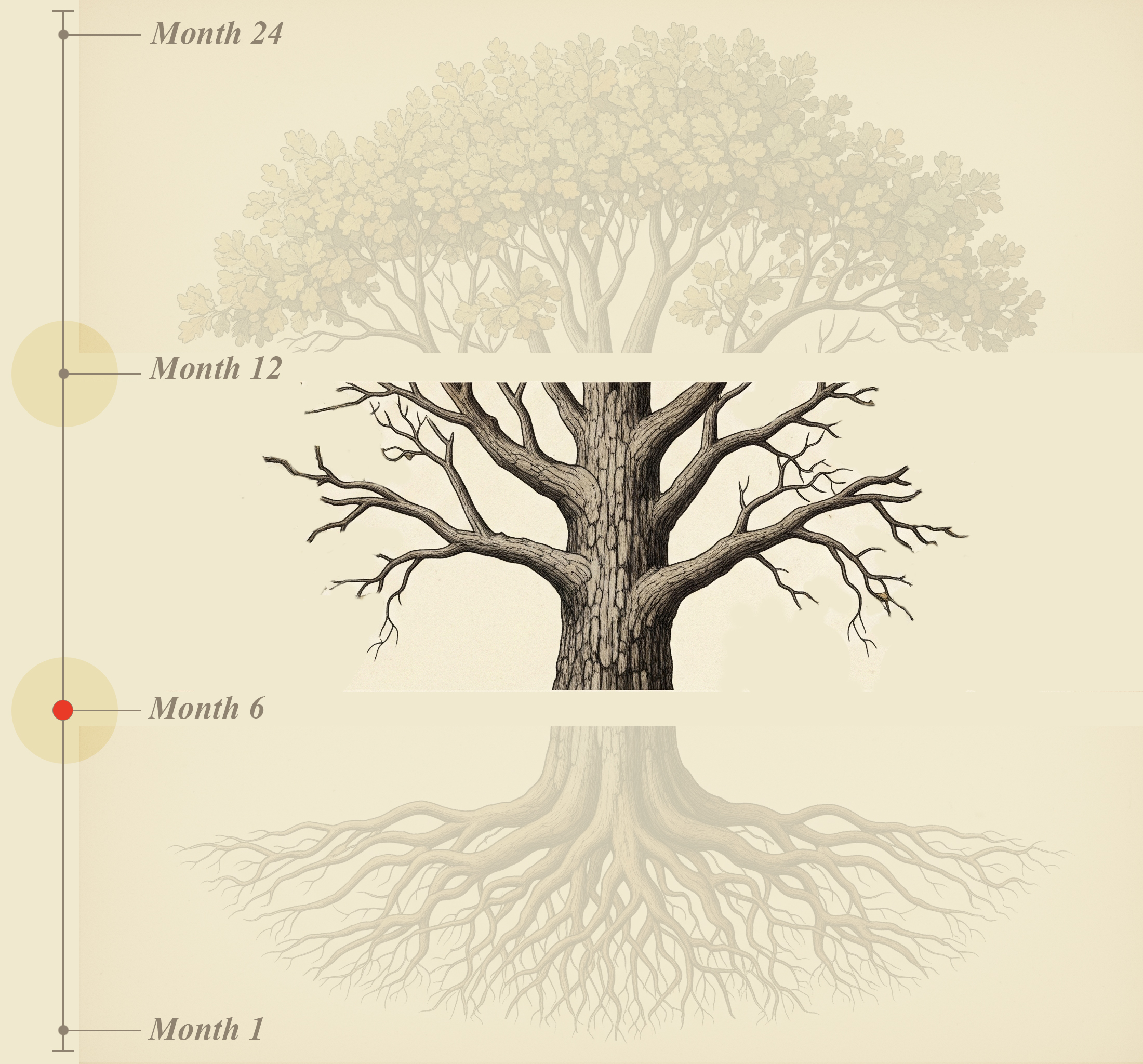 Tree Trunk - The GrowthLens Client Journey - A Three-Phase Approach to YouTube ROI