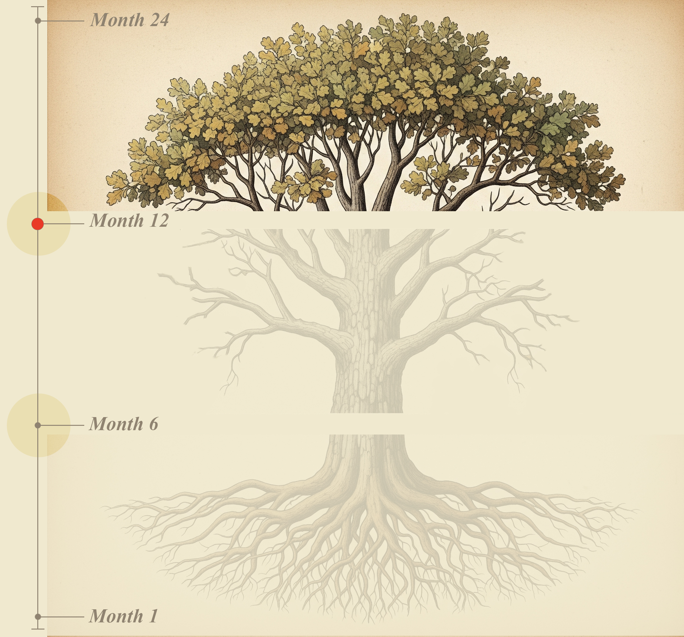 Tree Leafs - The GrowthLens Client Journey - A Three-Phase Approach to YouTube ROI
