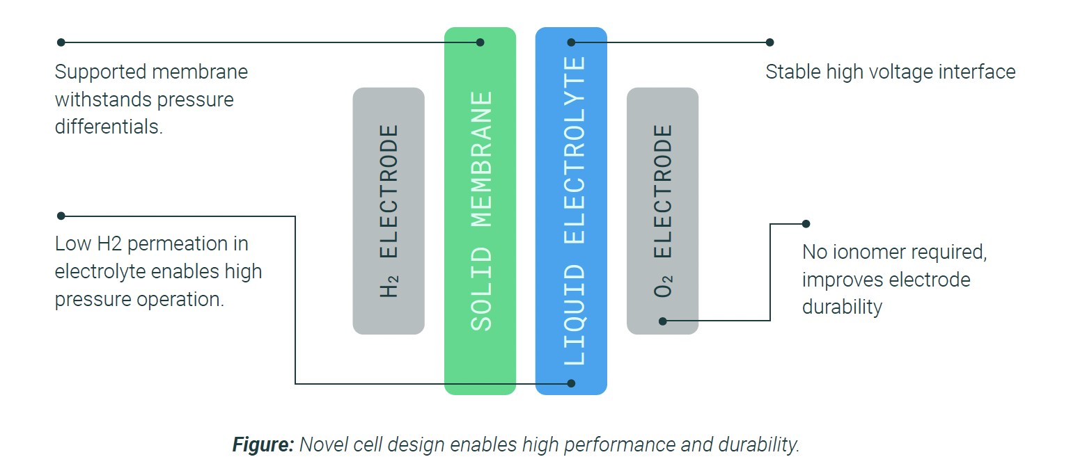 A diagram of a cellAI-generated content may be incorrect.