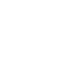 LinkedIn Icon