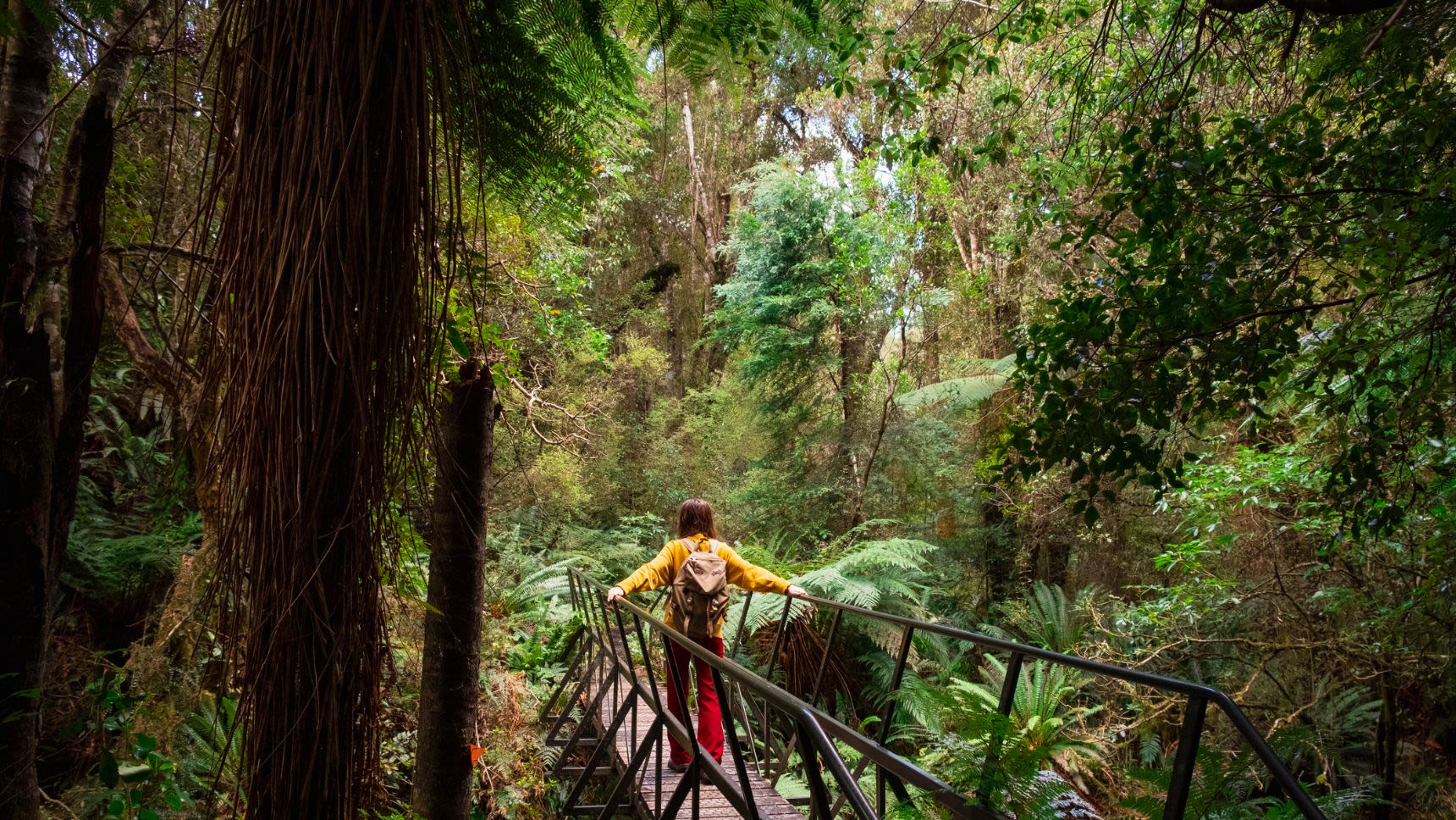 Person standing in nature representing the types of green loans available.