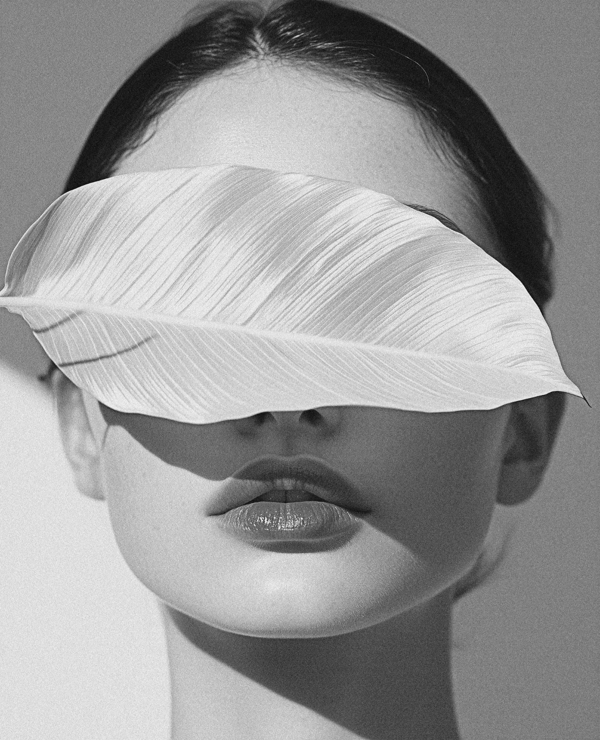 Dr Nikolina Nikodinović