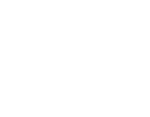 SiGNAL BiZHUB