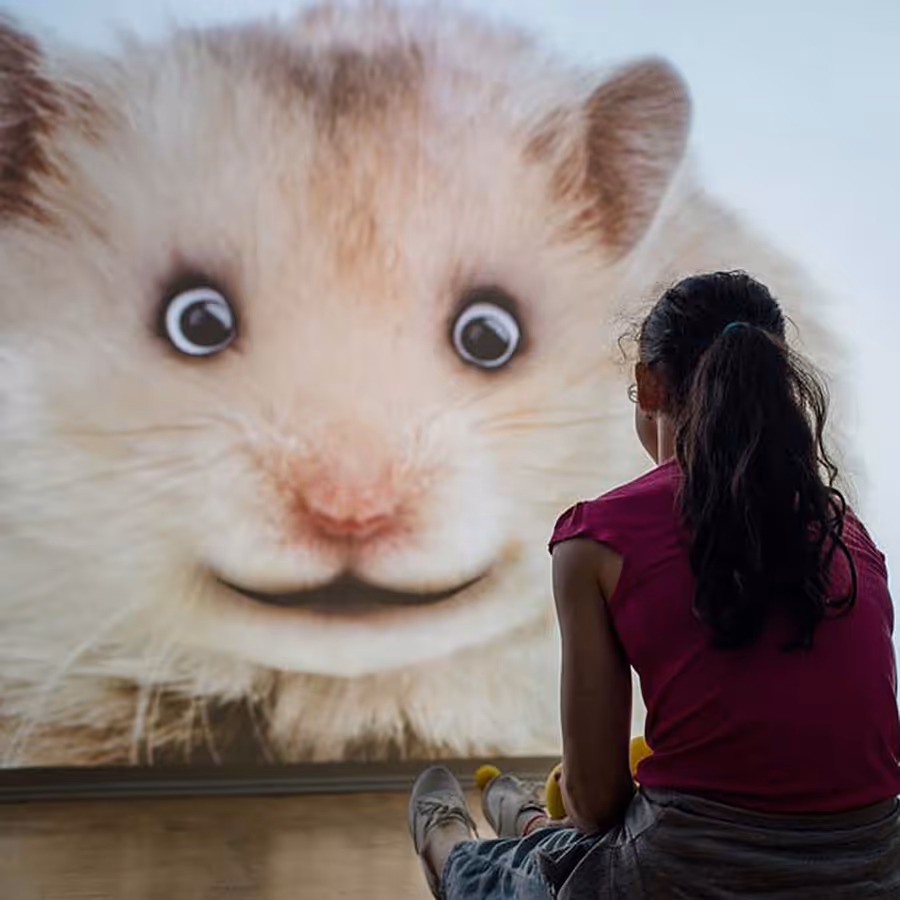 profile picture of the game for Slovak national gallery 