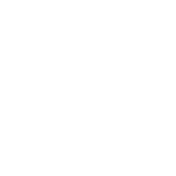 LinkedIn Icon