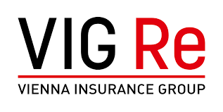 VIG Re logo