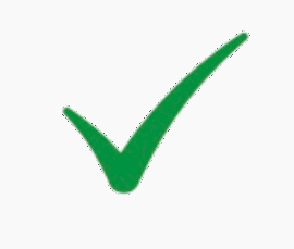 tick