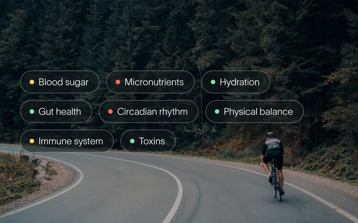 Cyclist with the eight physiological energy leaks