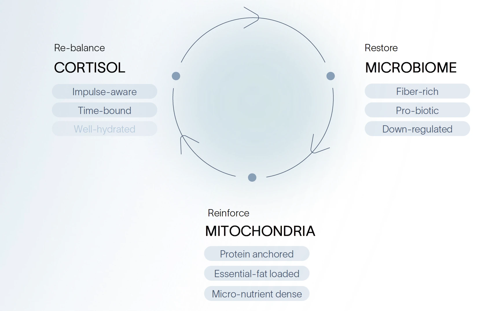 Rahmenwerk für Ernährung und Resilienz: Cortisol ausgleichen, Mikrobiom wiederherstellen, Mitochondrien stärken