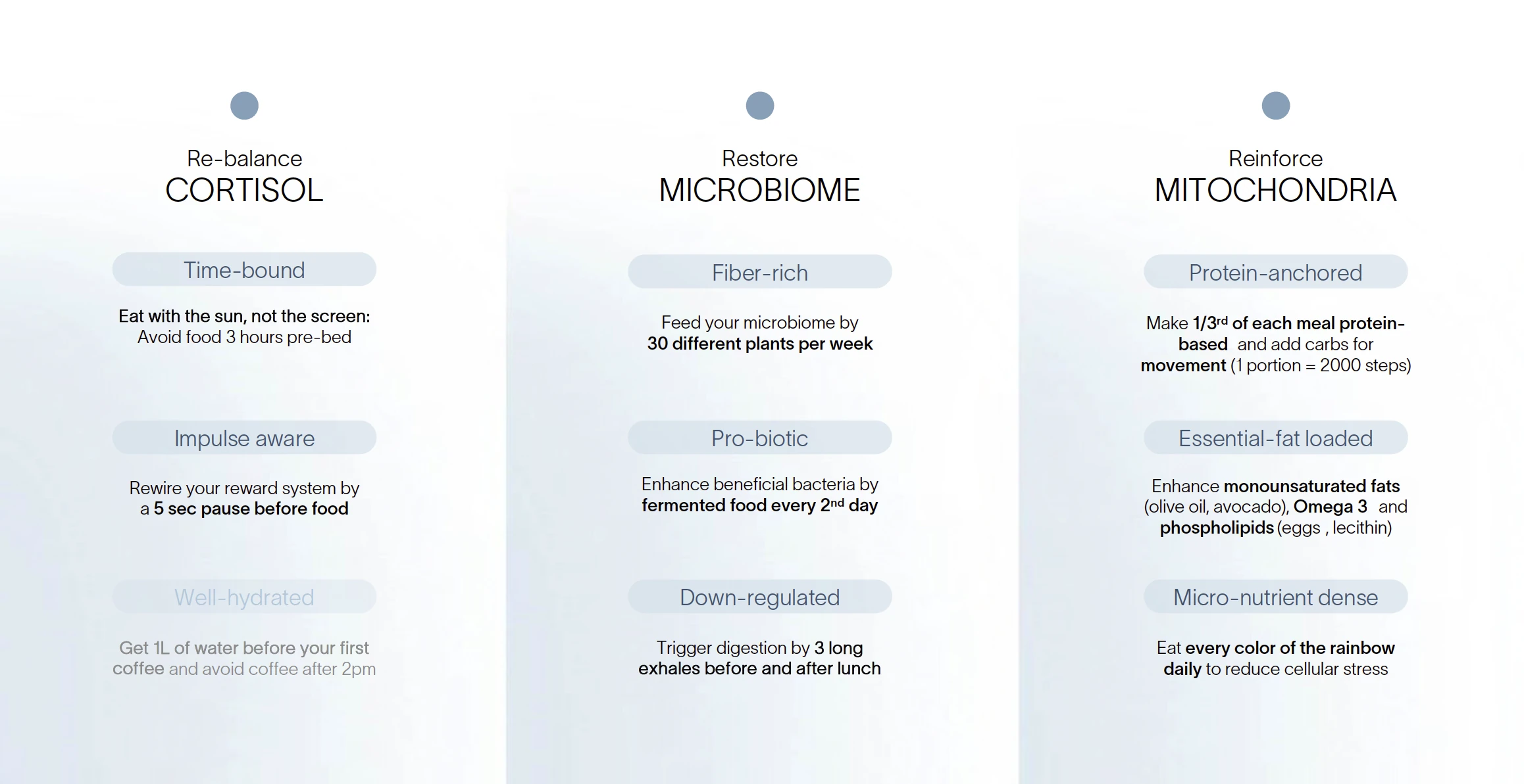 Neun Ernährungsprinzipien für Cortisol, Mikrobiom und Mitochondrien