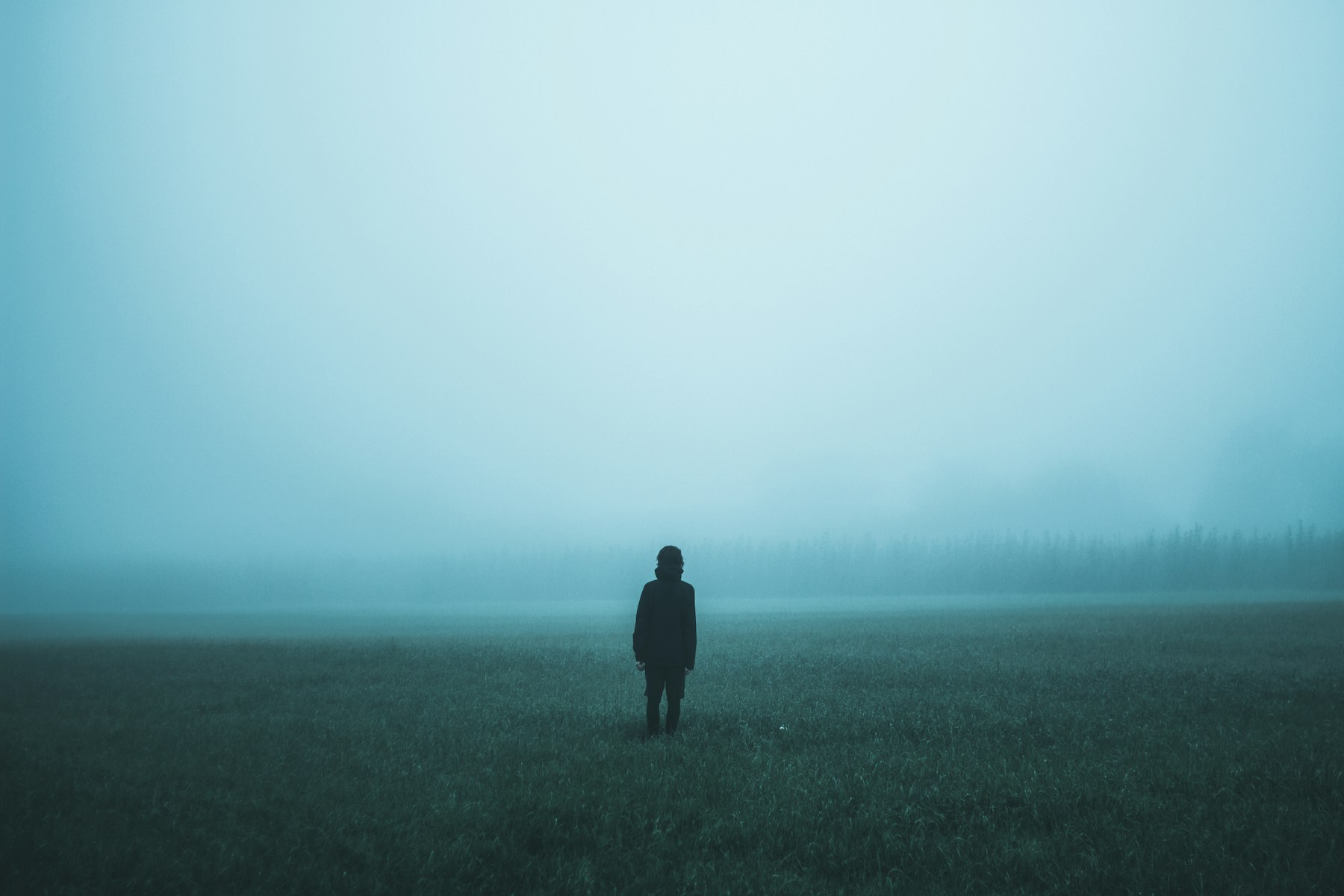 Person standing alone in a misty field