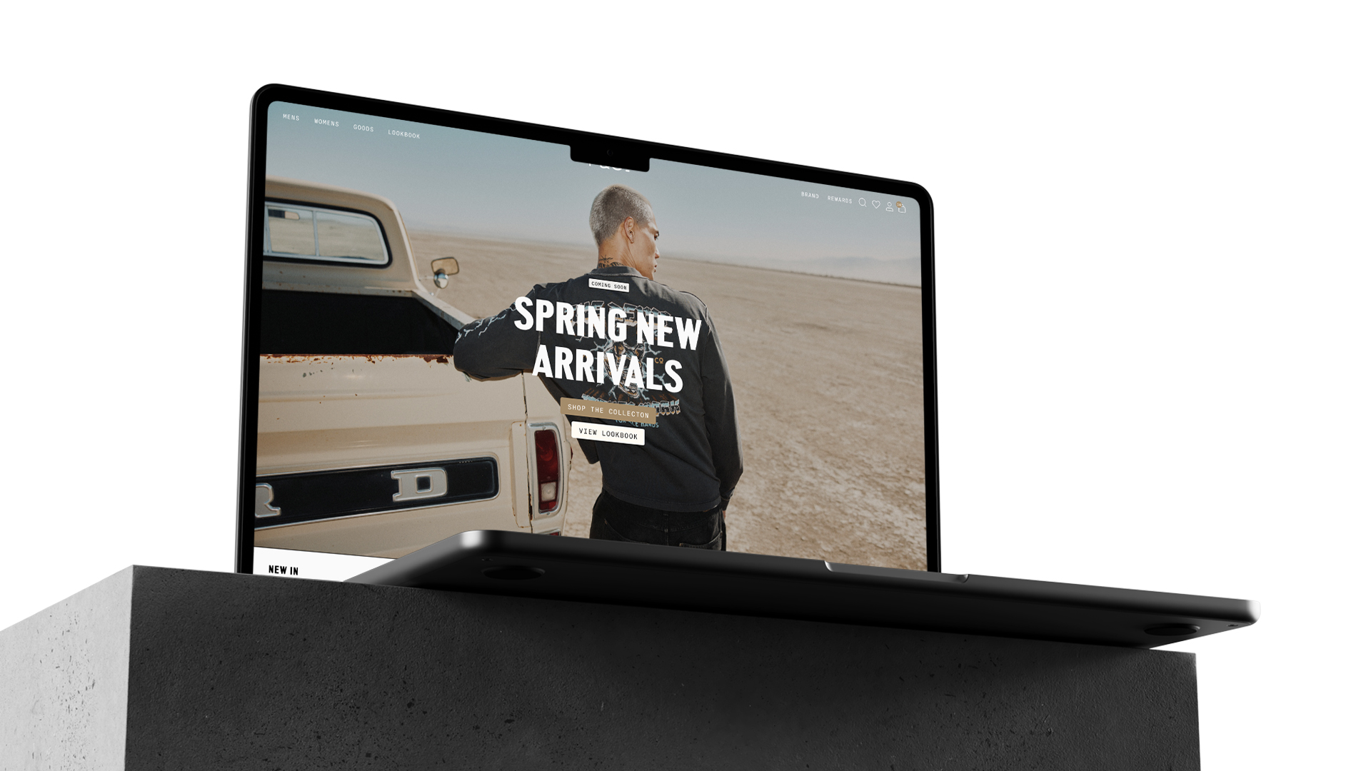 SEO Strategy for ecommerce brand in action 