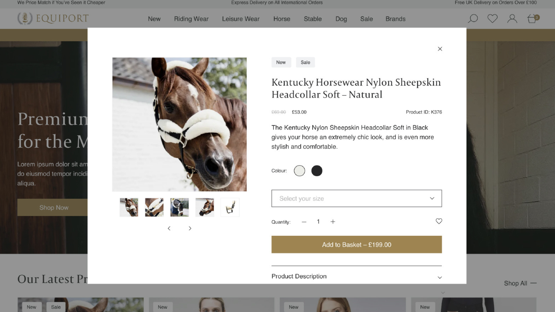 Custom Shopify development for ecommerce functionality