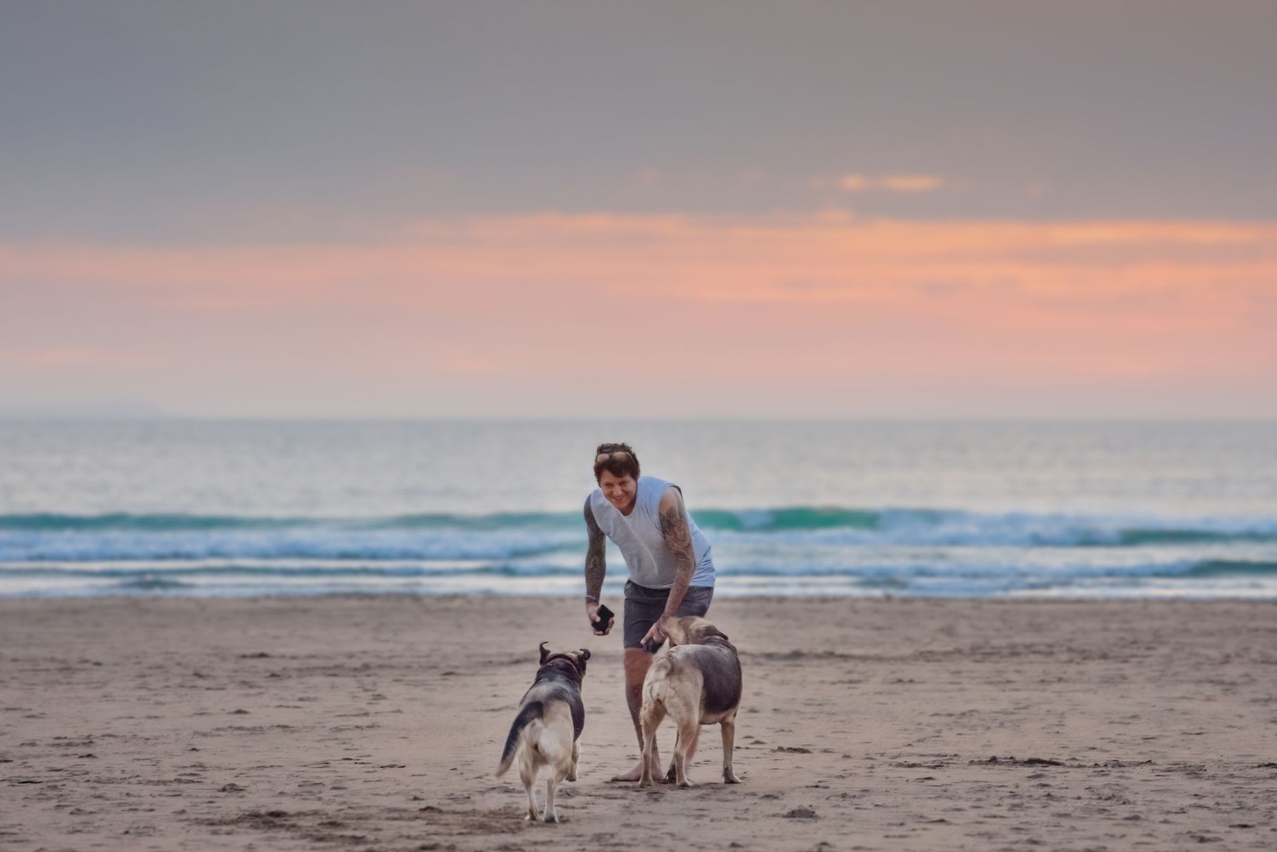 Man playing with two dogs on Woolacombe Beach at sunset