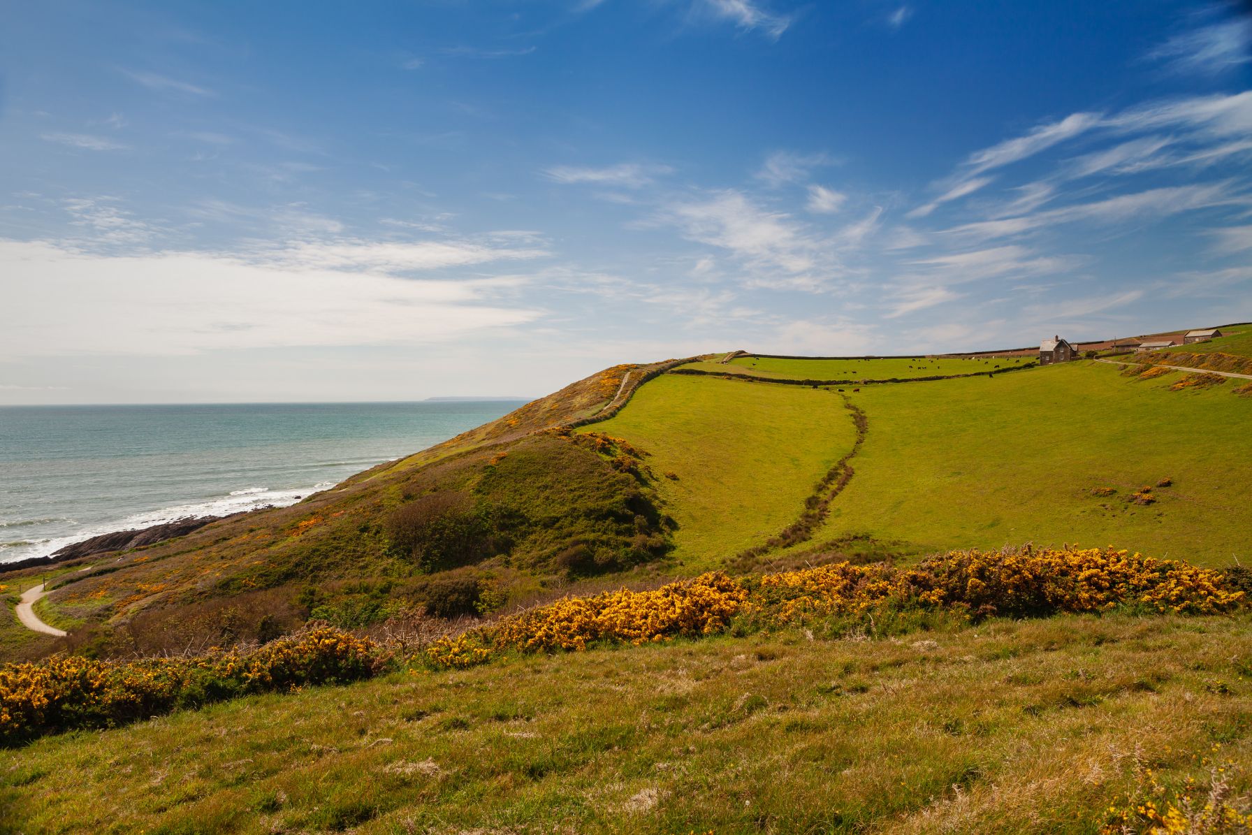 View of Baggy Point on a sunny day