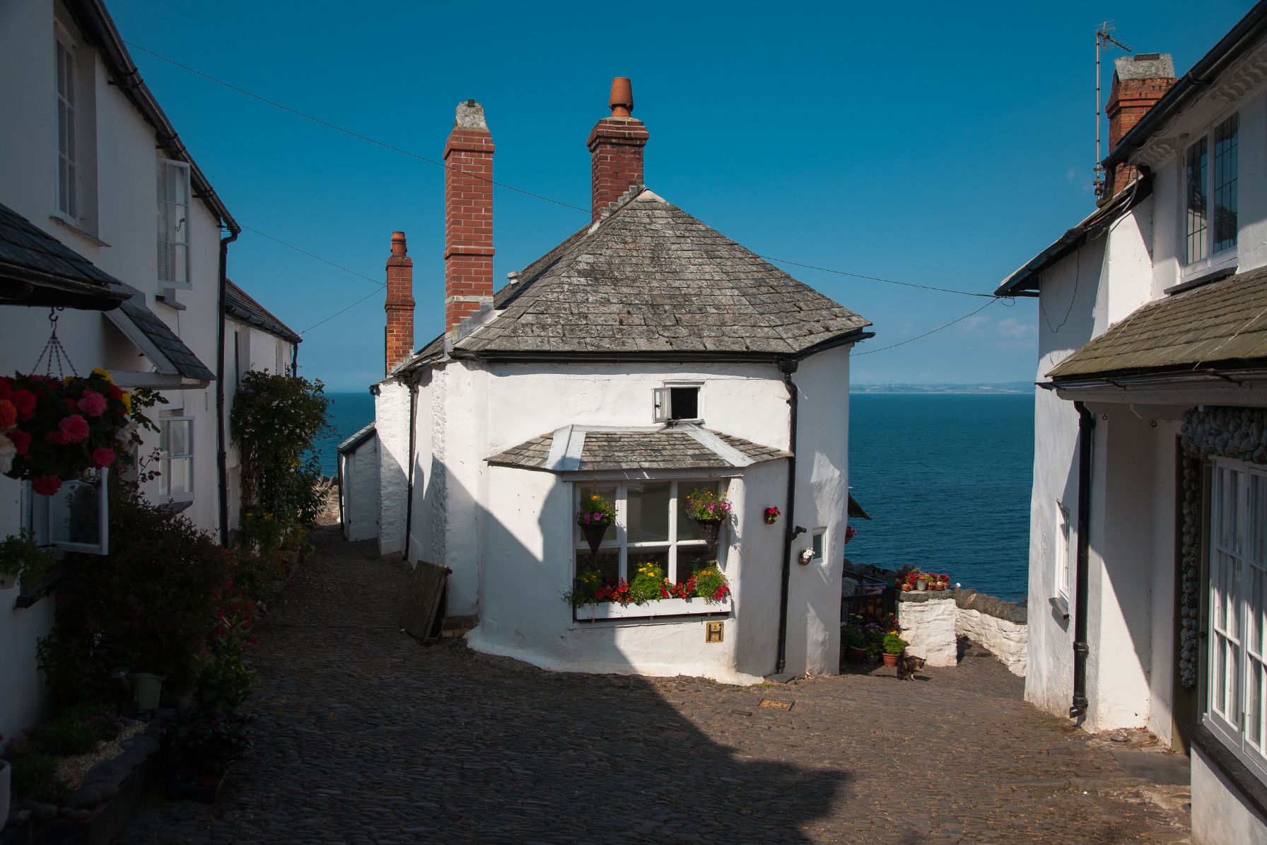 Houses in Clovelly village