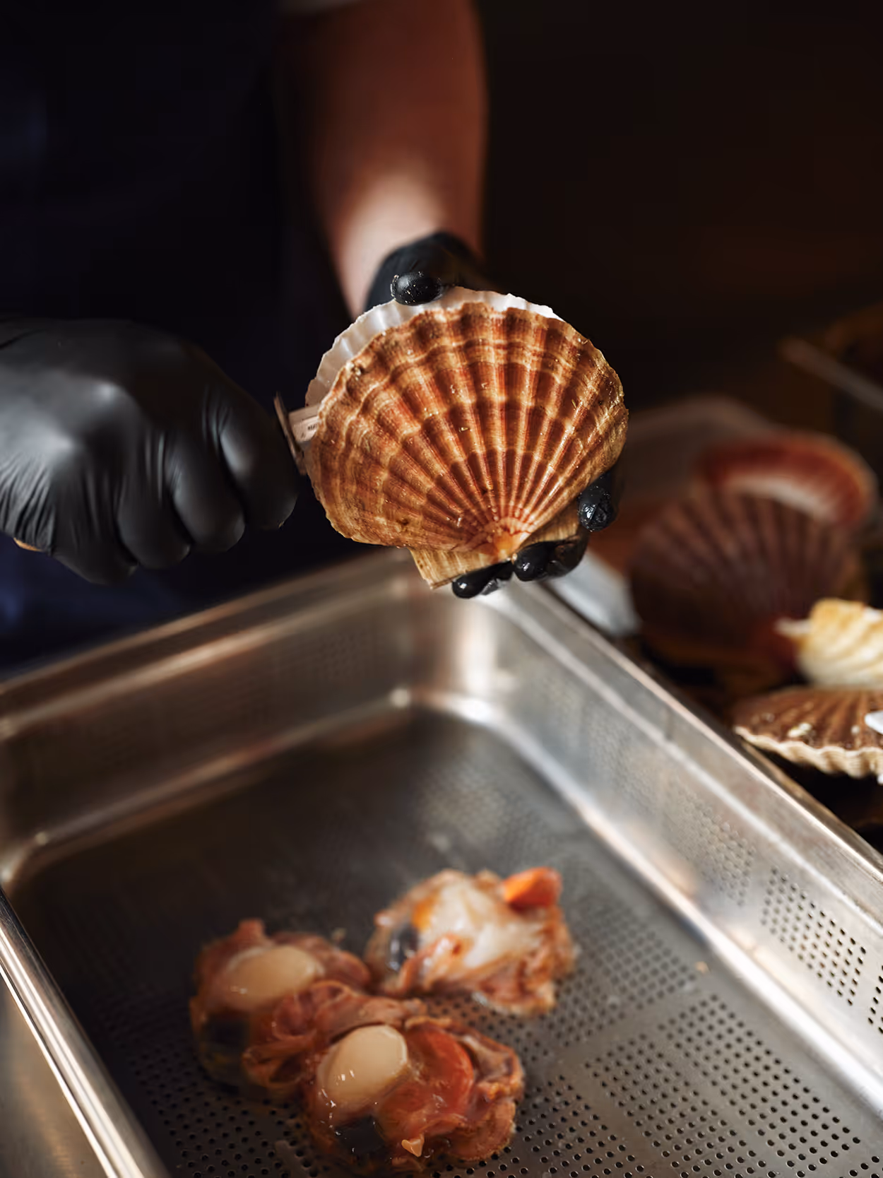 Scallops being rinsed.