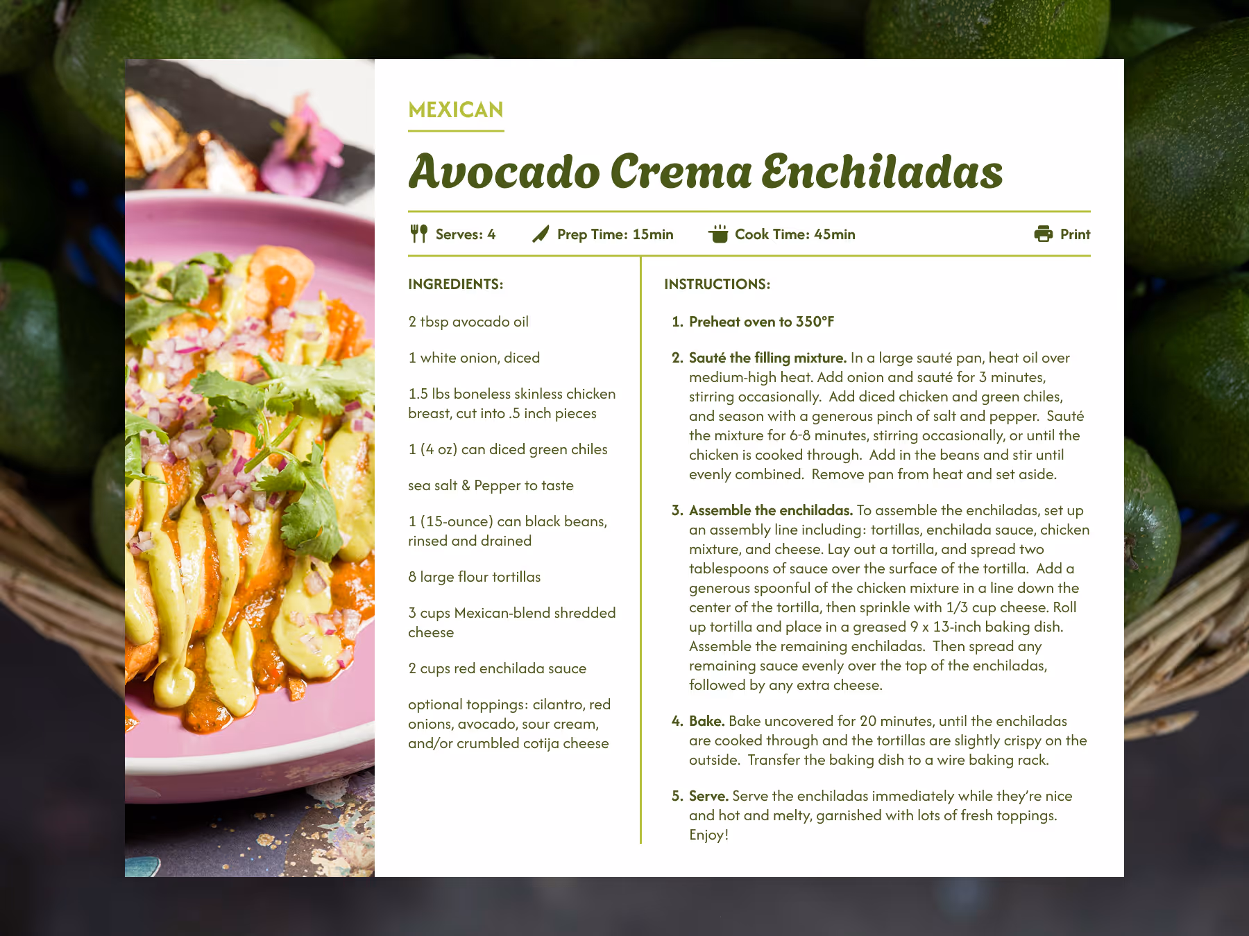 040 Recipe - Dribbble Shot