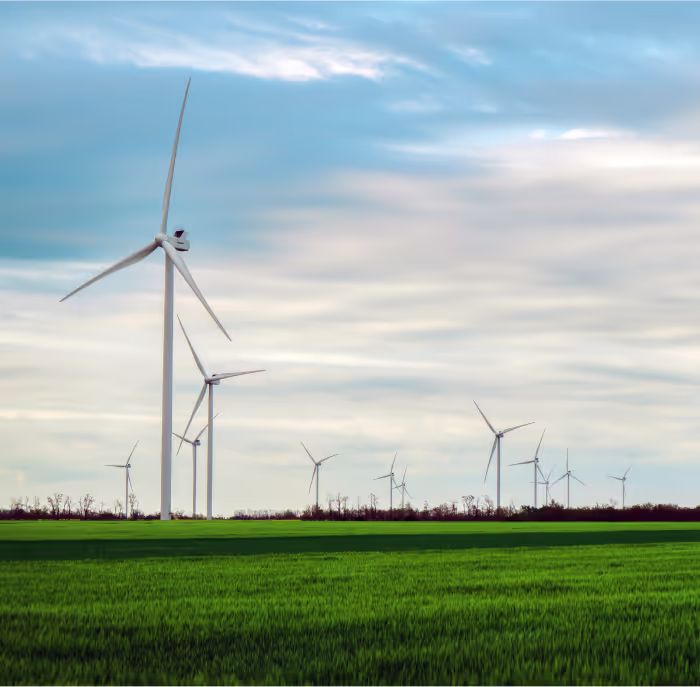 Wind turbines in a green field, representing green energy.