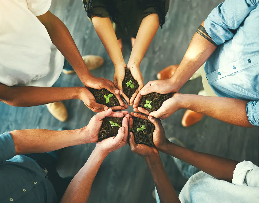 Diverse hands holding seedlings in soil, representing teamwork and sustainability.