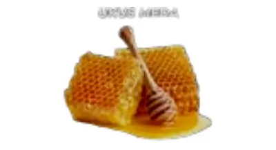 Ukus meda pčelarstvo Banja Luka