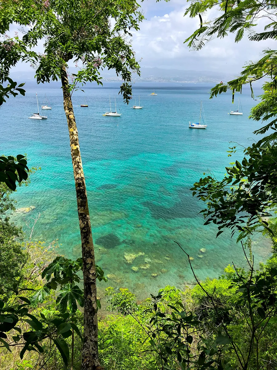 Voiliers ancrés dans lagon turquoise bordé végétation tropicale Martinique