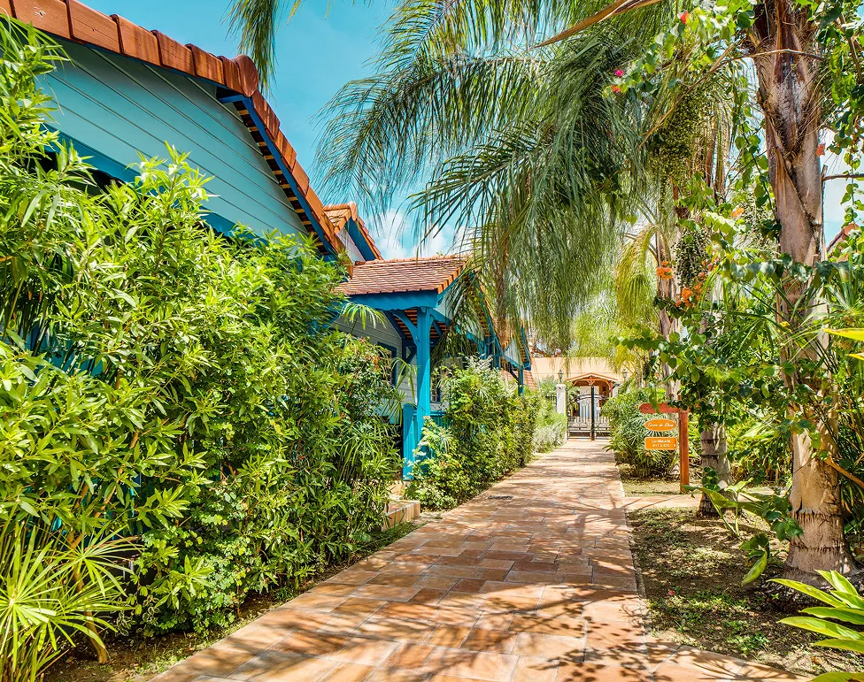 Allée bordée palmiers menant aux bungalows turquoise resort Martinique tropical