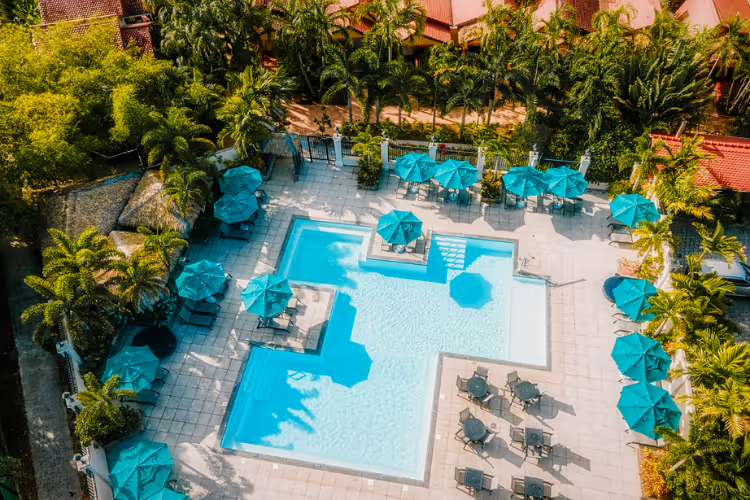 Piscine luxueuse Bambouresort entourée palmiers parasols turquoise vue aerienne Martinique